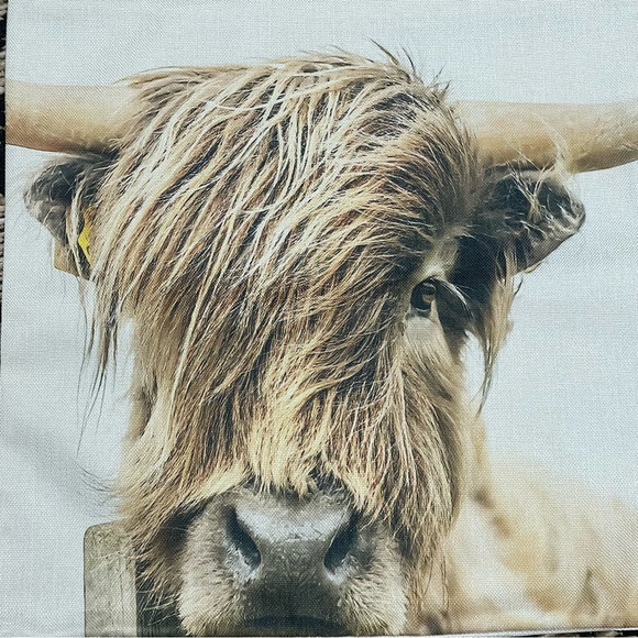 Highland Cow Pillow Cover NWOT - Picture 3 of 5
